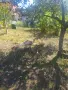 Пуйки на 1г и 4 м, снимка 2
