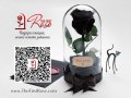 Вечна Роза в Стъкленица / Стилен и Оригинален Подарък за Рожден ден / Естествена Черна Вечна Роза, снимка 3