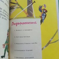 Горски приказки - илюстрации от С.Анастасов -сборник  - 1971г. , снимка 5 - Детски книжки - 42054845