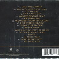 Колекция на Bon Jovi - 20 Диска, снимка 2 - CD дискове - 34657509
