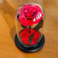 Мини роза в стъкленица, снимка 7 - Подаръци за жени - 44197834
