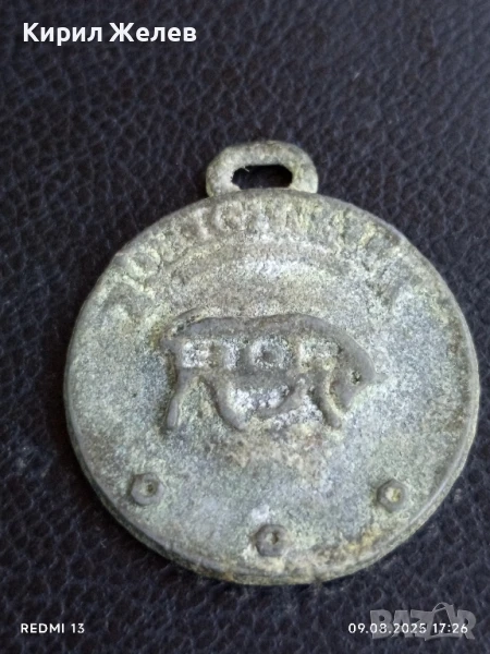 Метален медальон за домашен любимец за КОЛЕКЦИЯ 72641, снимка 1