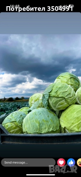 Зеле балкан и кьосе , снимка 1