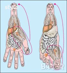 Су Джок терапия при здравни проблеми, снимка 1