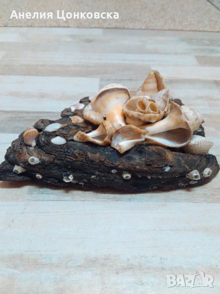 Ръчно изработен морски сувенир - 20 %, снимка 1