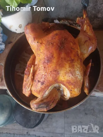 продавам домашно гледани пуйки пуяци , снимка 3 - Кокошки и пуйки - 48051978