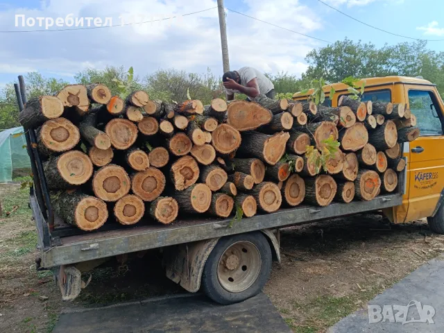 Дърва за огрев , снимка 12 - Дърва за огрев - 45429102