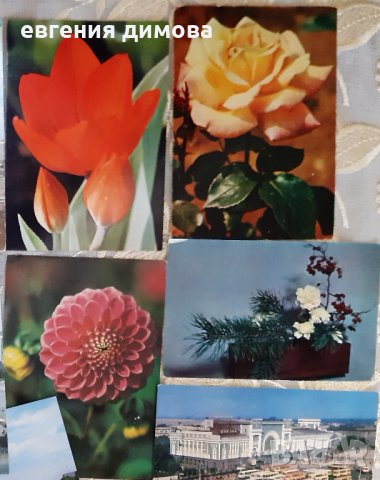 Стари руски картички , снимка 2 - Колекции - 42726027