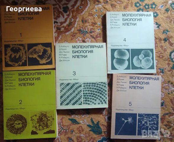 молекилярная генетика 