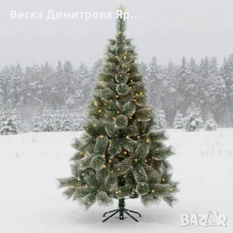 Коледна елха с бели заскрежени връхчета.