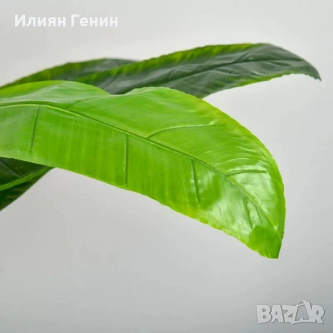 Изкуствени растения HOMCOM 150 см, снимка 2 - Декорация за дома - 53663451