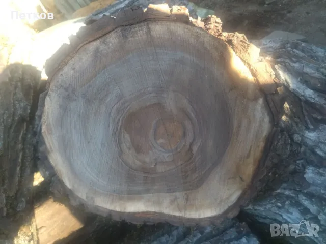 Продавам орехово дърво за материал , снимка 2 - Други - 49298637