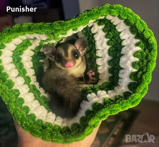 Захарни летящи катерички