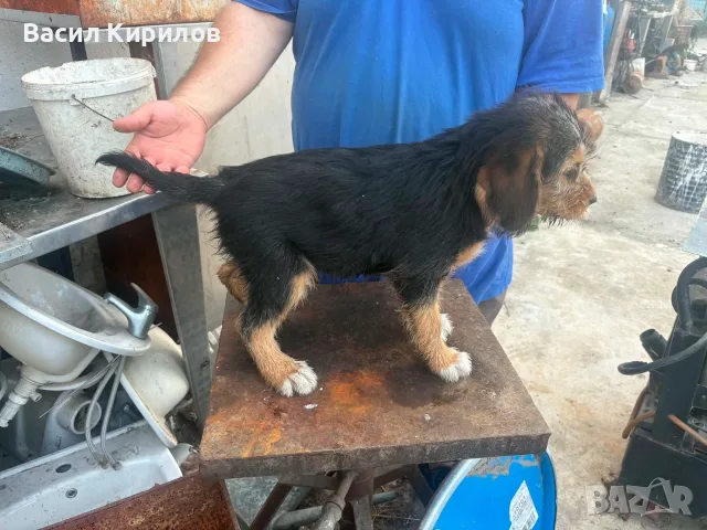 Български барак