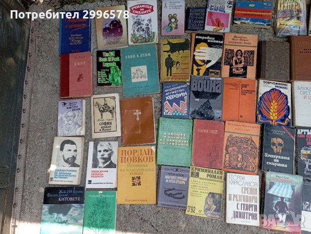 Книги книга речник роман, снимка 3 - Други - 41519753
