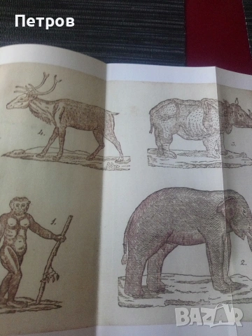 Рибен буквар-юбилейно издание! , снимка 6 - Други - 53653771