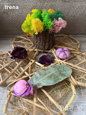 Кашпи със скандинавски мъх 8,50, снимка 16 - Декорация за дома - 42840962