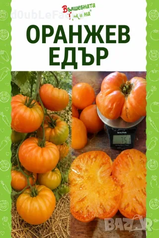 Семена от нехибридни сортове 