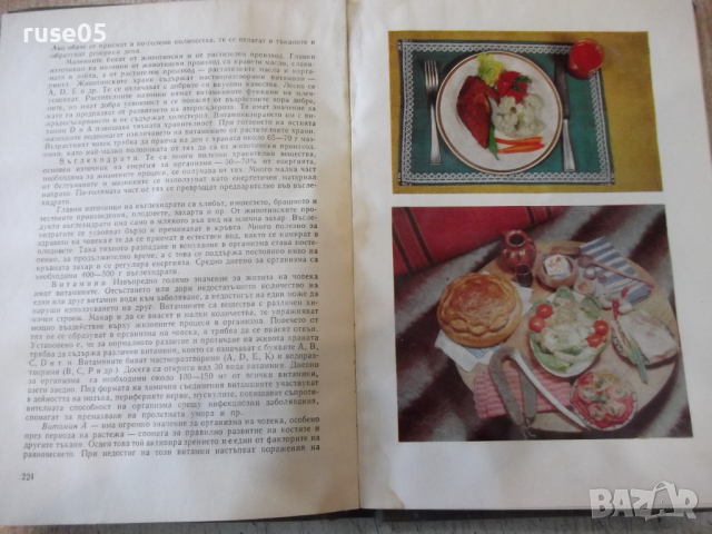 Книга "Дом семейство бит - Колектив" - 340 стр., снимка 7 - Енциклопедии, справочници - 36312563