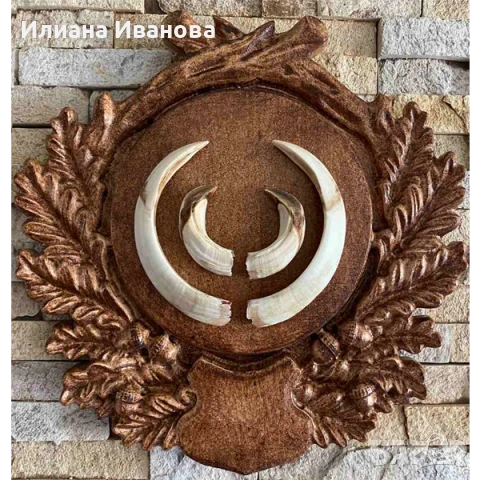 Поставка за ловен трофей - Модел 3 - за Глиги, снимка 4 - Декорация за дома - 35490211