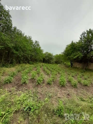 Продавам къща, снимка 10 - Къщи - 52986174