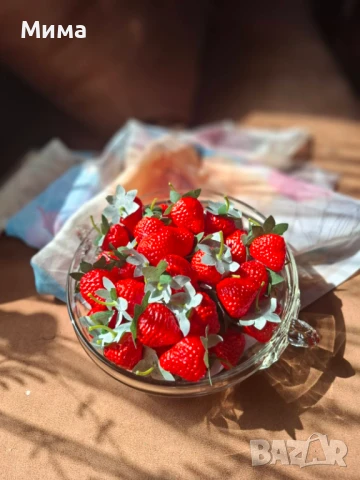 Изкуствени резенчета плодове, снимка 14 - Декорация за дома - 51359601