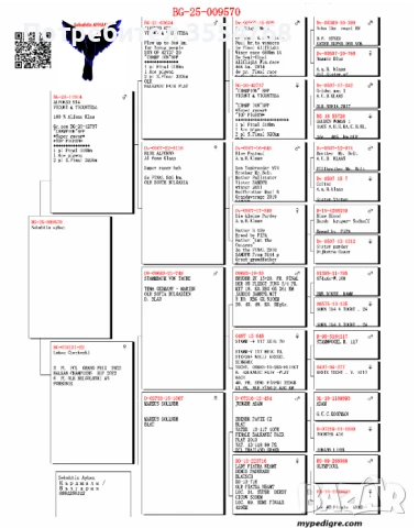 Продавам спортни гълъби , снимка 9 - Гълъби - 50760807