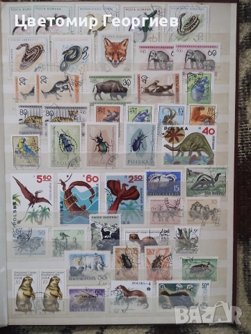 Класьор с марки /животни/ 650 бр ., снимка 13 - Филателия - 53078099