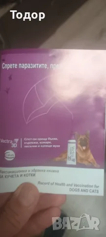 Мъжка немска овчарка , снимка 8 - Немска овчарка - 55826733