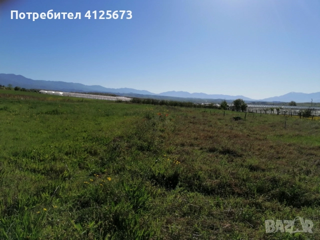 Продава къща и земеделска земя, снимка 11 - Къщи - 52563756