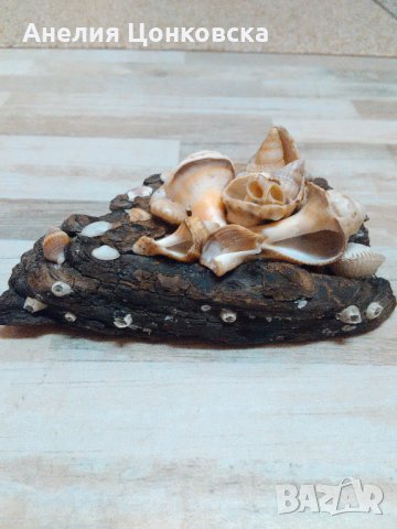 Ръчно изработен морски сувенир - 20 %, снимка 1