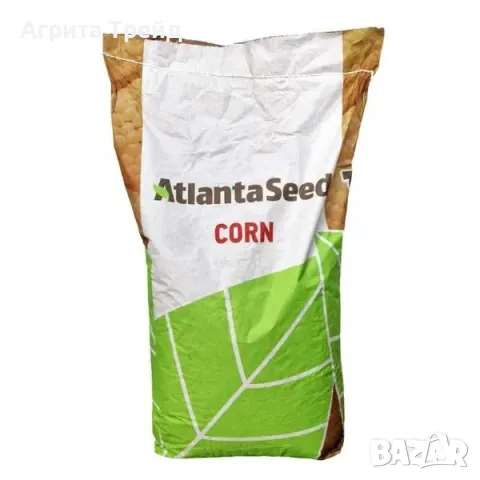 Семена Царевица 80 хил.сем.