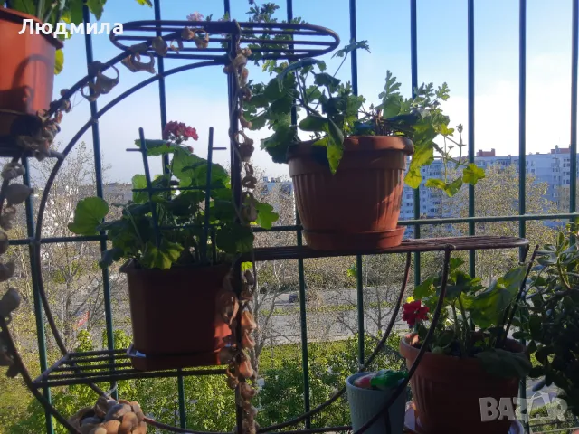 Цветарник,ковано желязо на няколко нива,грундиран и боядисан , снимка 7 - Градински мебели, декорация  - 50096264