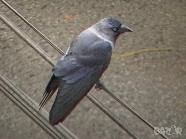 JVC GR D270, снимка 14 - Камери - 52059229