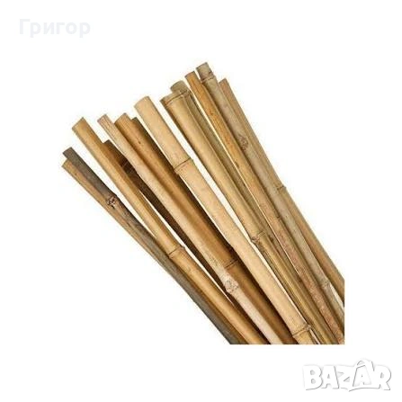 Здрави и надеждни колчета за добари! Топ цена!