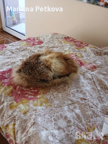 Зимна шапка от лисица