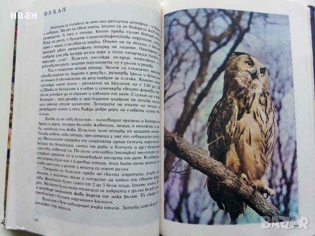 Албум за растения и животни - Н.Боев,С.Петров,П.Кръстев - 1976г., снимка 7 - Енциклопедии, справочници - 40616804