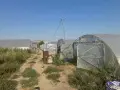 Продавам оранжерии!!!, снимка 2