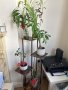 Нова 5-степенна Висока метална Стойка Поставка за растения цветя саксии Подарък Дом градина, снимка 10