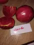 Семена домати 2, снимка 18