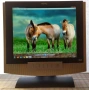 BenQ FP791, 17.0" = 43.2 cm, снимка 4