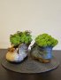 кашпа керамична обувка със Скандинавски мъх, снимка 1 - Декорация за дома - 44423241