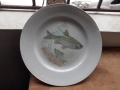 Български порцелан с риби - две чинии, чиния, снимка 3