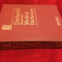 Медицински учебник.Dorland's illustrated Medical Dictionary 28.версия, снимка 6 - Специализирана литература - 35776907