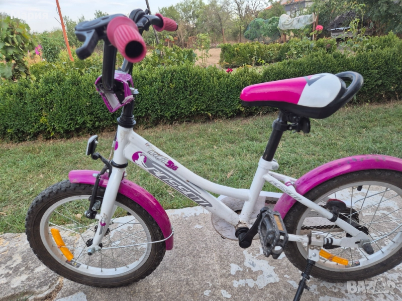 Детско колело Ninja Passati, снимка 1