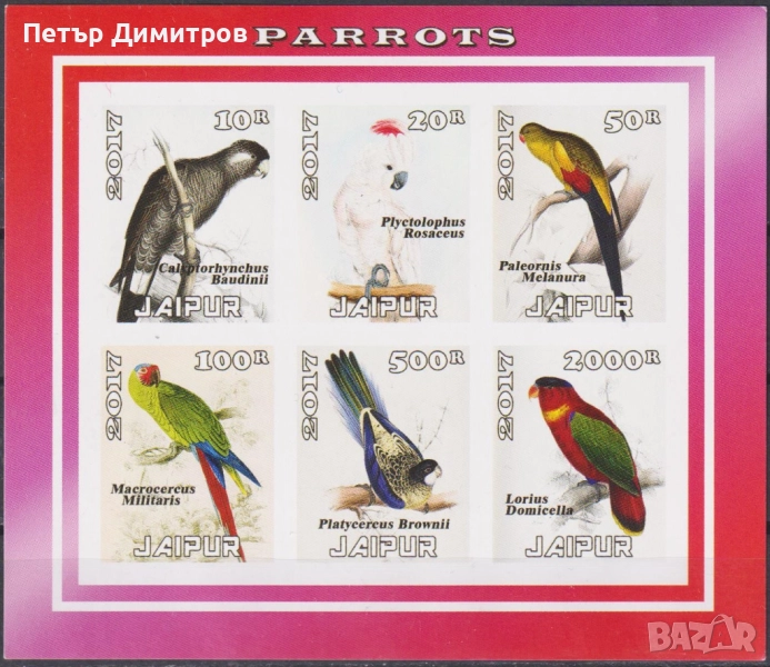 Чисти марки в лист Фауна Птици Папагали 2017 Джайпур Индия, снимка 1