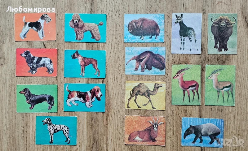 Ретро календарчета със животни/ За колекционери, снимка 1