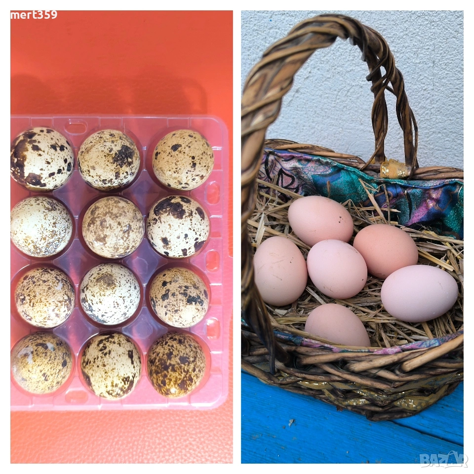 домашни пресни яйца и от пъдпъдъци , снимка 1