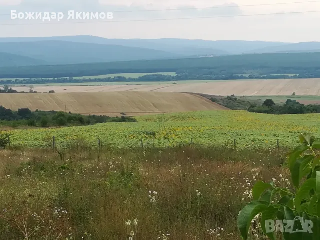 Парцел Бяла, област Варна, снимка 7 - Парцели - 50363074