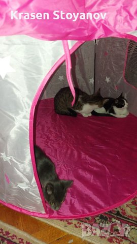 Детска палатка, снимка 7 - Други - 34947945